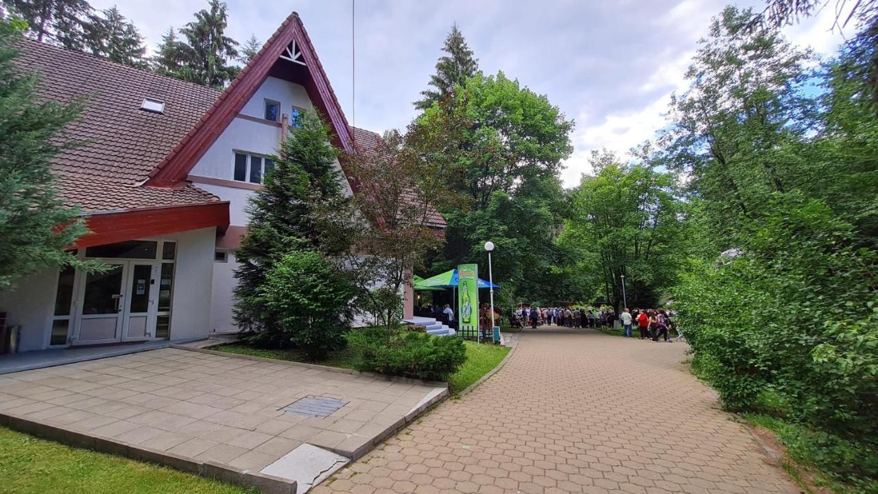 Pensiunea Happy Inn Vatra Dornei Buitenkant foto