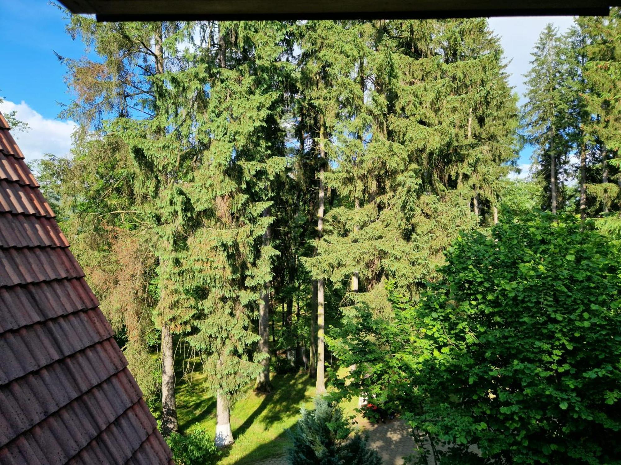 Pensiunea Happy Inn Vatra Dornei Buitenkant foto